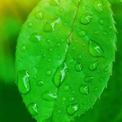 BB贝博平台登录app下载手机版